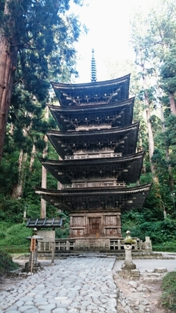 20150817074526080.jpg
