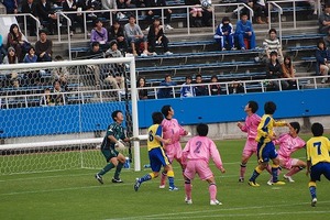 DSC_0212.jpg