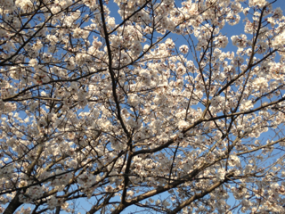image-20140401213404.png